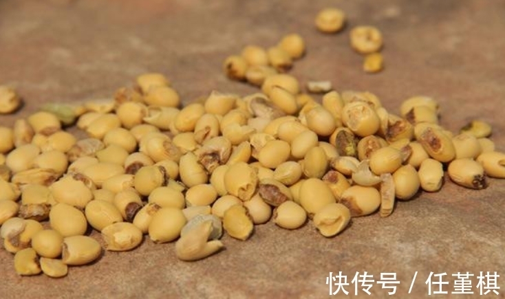 发酵|家家都有的“小东西”,长叶特别棒,只需半年埋一次,不用再施肥