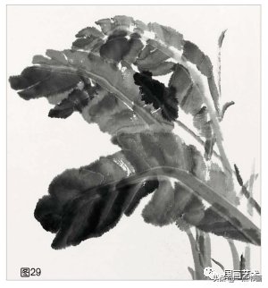 教程@图文教程——芭蕉画法