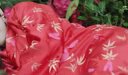 湘云醉卧|6版《红楼梦》“湘云醉卧”,看看谁是人面桃花,谁像醉鬼睡大街