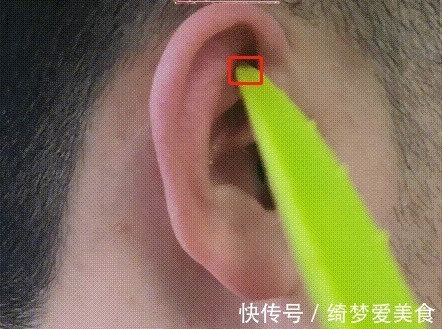 耳轮|耳朵是身体的反射区,分享一套“揉耳操”,可以把全身都调理个遍