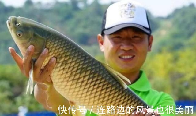 绝招|老钓手这绝招果然够狠“对付”大草鱼绰绰有余,后悔现在才知道