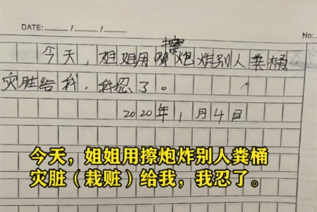 仇恨|弟弟的日记本里,记满了对姐姐的“仇恨”,网友却说很温馨有爱