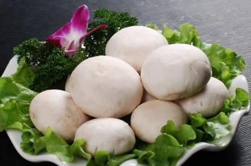 长寿|人到中年想长寿，坚持多吃3种食物，补充营养、身体倍棒