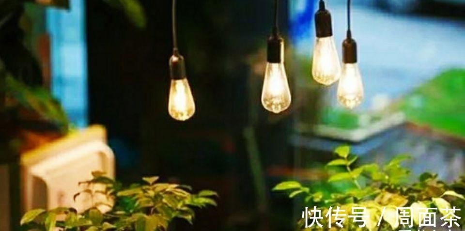 随笔|随笔:入秋后的一抹愁伤