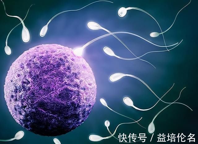 小夫妻|“备孕”和“不备孕”生出宝宝有差别吗?想让娃健康,备孕别偷懒
