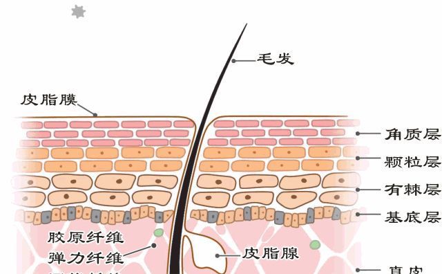 洗面奶|洗脸不对,护肤白废!这样洗脸,皮肤只会越洗越差