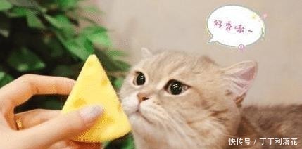 嘴角的下巴总是有白色的痘痘,且还连成一片,是螨虫吗