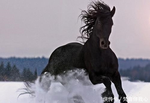 关照|未来3年告别穷苦，3大生肖财旺业旺，贵人关照，上坡路越走越顺