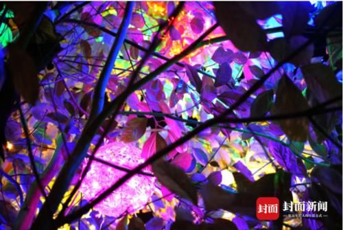 灯笼亮了 成都年味浓了|图说生活 |灯笼亮了 成都年味浓了\＂,\＂i11\＂:\＂图说生活