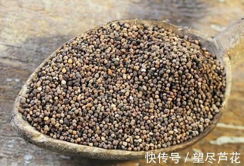 若在大豆上见到这野草,别手软,赶紧采摘回家,它种子价值很高