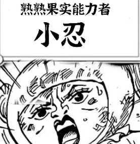果实|熟熟果实对返老还童,小忍用决斗告诉你,她海贼王才是yyds!