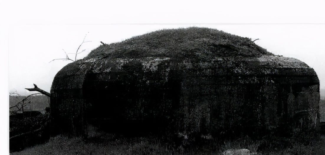 大战爆发|比马其诺防线庞大四倍的斯大林防线，被德军用不同的战术撕裂