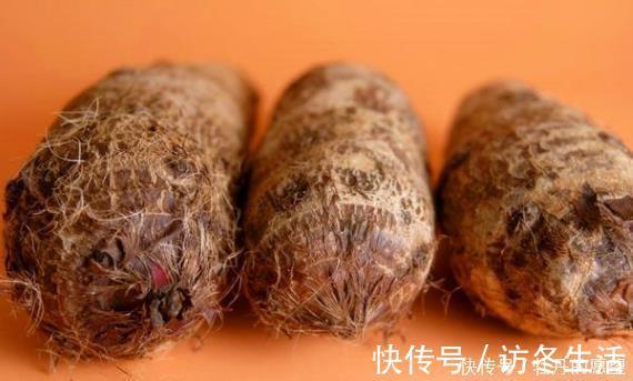 答案|食用芋头根到底有什么好处吗你真的知道吗今天来告诉各位答案
