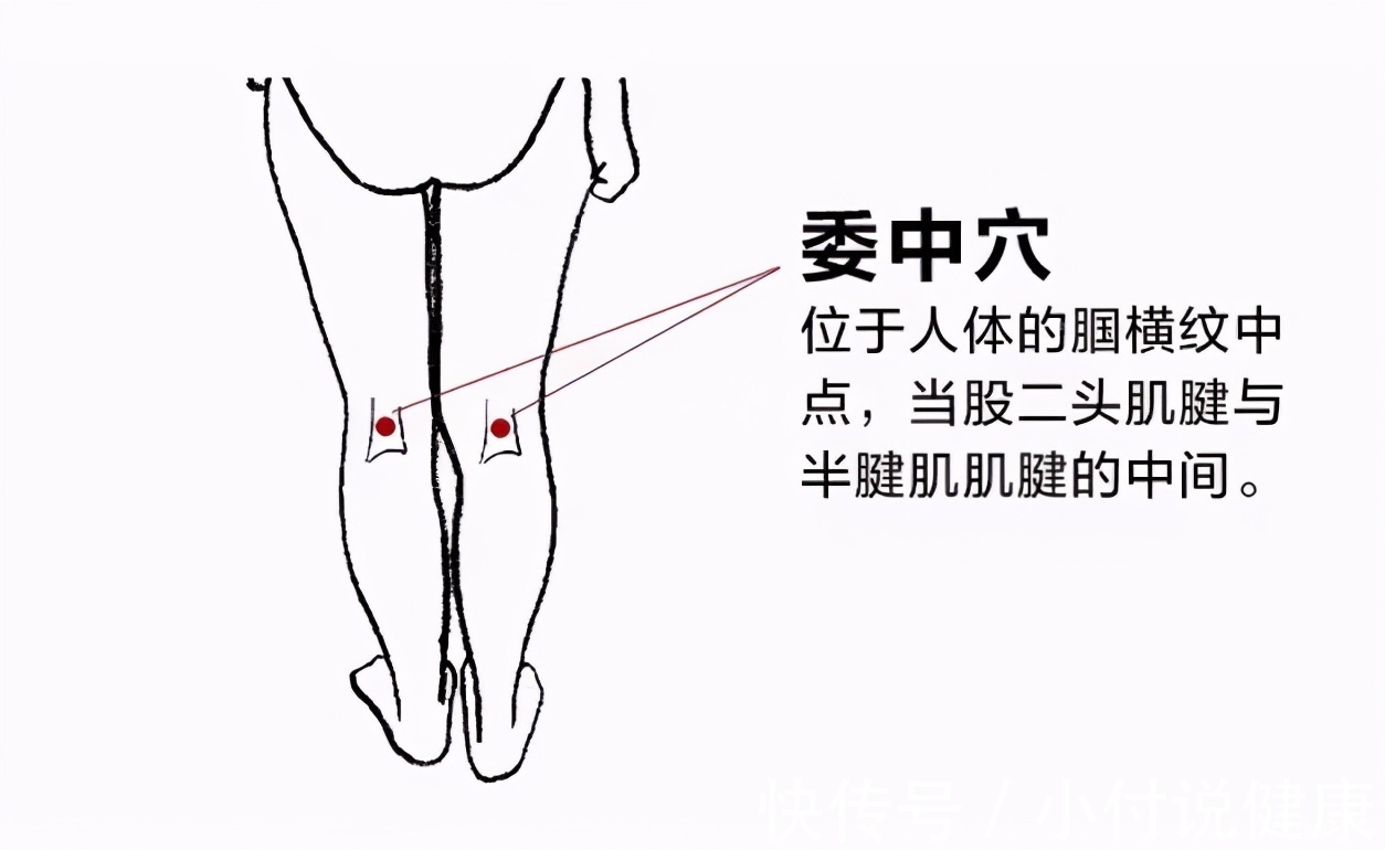 大椎穴|空调房里女性一定要保护的4个部位