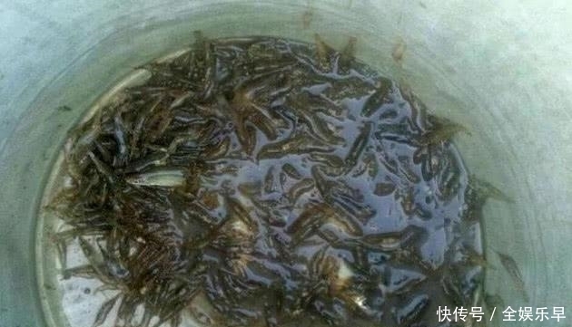 农村|开车去农村钓鱼,这样的路没难住我,但看到收获后她气哭了