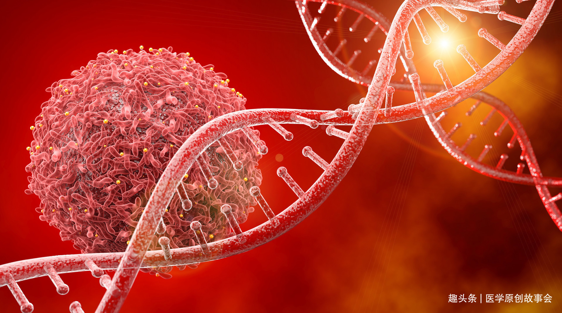 杨女士|癌症治与不治都是死,不如花钱游山玩水肿瘤科主任说出了大实话