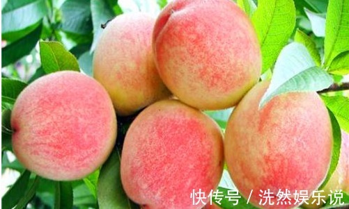 子宫|女性养生，多吃的食物，排出湿气，健胃消食，预防子宫早衰