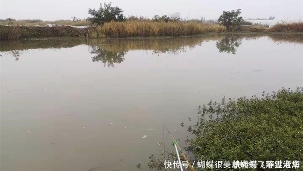 冬季钓不到鱼未必是天冷，6个字概括了冬钓技巧，助你上鱼更多