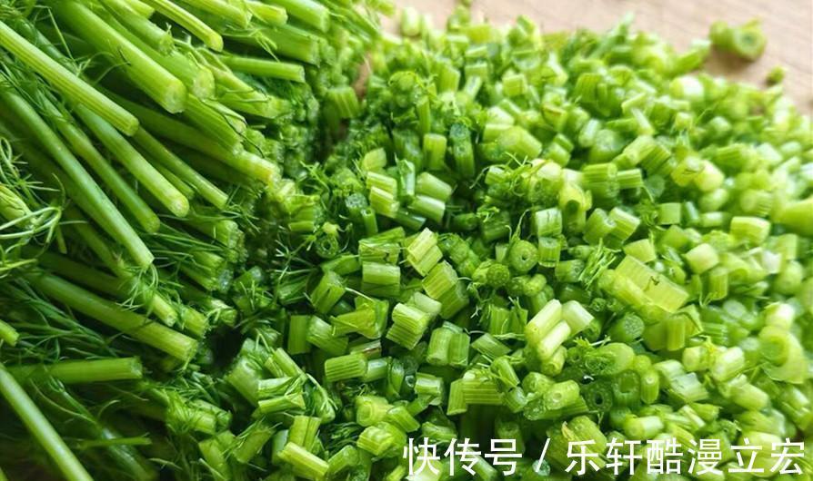 入秋后,吃白菜莲藕不如吃它,营养极高,女性要多吃,包饺子特香