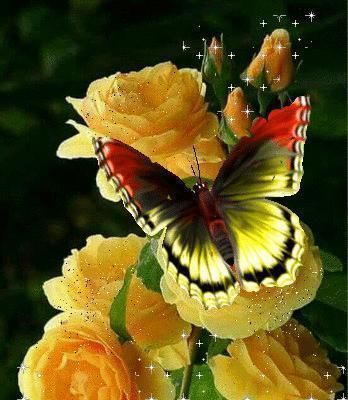 人心&良言20句,见证人心,看透人性看一次胜读十年书