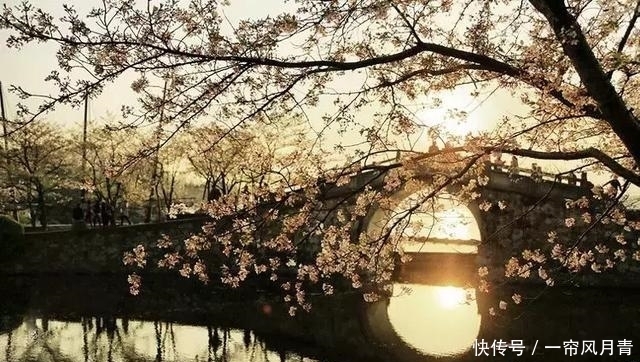 清明为什么要祭祖?这是我听过最好的答案