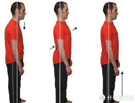 小腹|腰痛？小腹突出？你是否真的需要担心骨盆前倾？