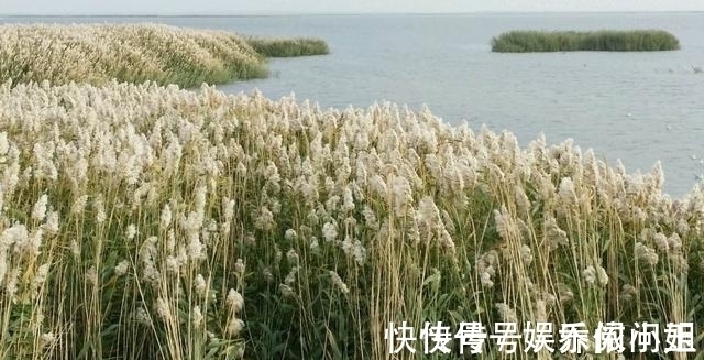 知府&4首妙趣橫生的古詩詞,展現古代的百態人生,仿佛夢回千年