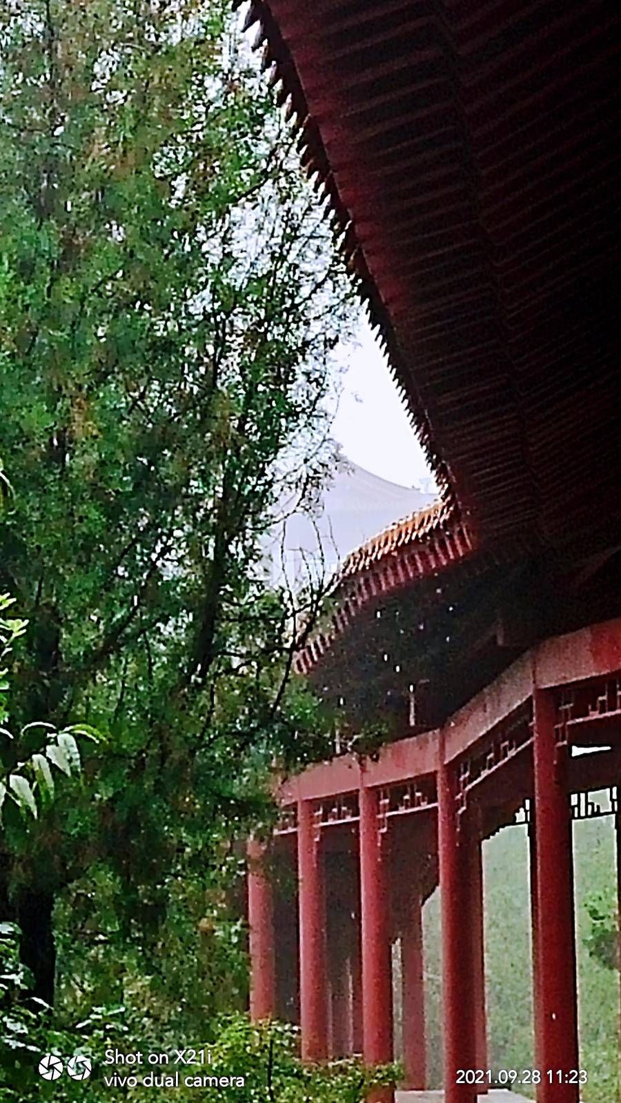 料青山|雨中山里走一走，看风景，洗尽风尘慰余生