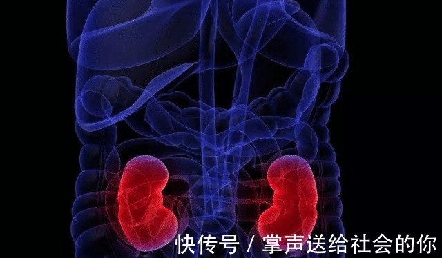 食物|大便不成形现象,就是肠胃炎还可能是这5种疾病!