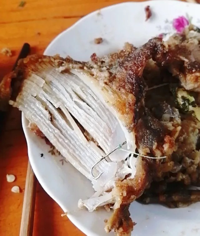 吃钓鱼人钓的鱼要千万小心！这是为什么呢？