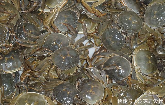 钓友|钓友“破口大骂”,放生也得讲德,不是什么东西都可以放生