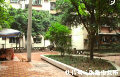 买房子|买房子时如果只剩下2楼和顶楼,你怎么选择?网友:这太难了!