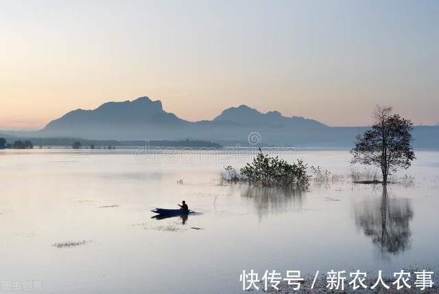 四川一女子钓鱼上瘾,野钓鲫鱼误入鲢鳙窝爆护,网友:难得遇一回