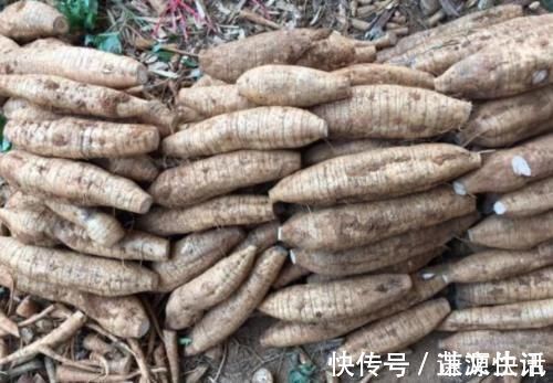 小知识|10个女性9个有妇科病,每周吃3次,活血化瘀,子宫更健康!