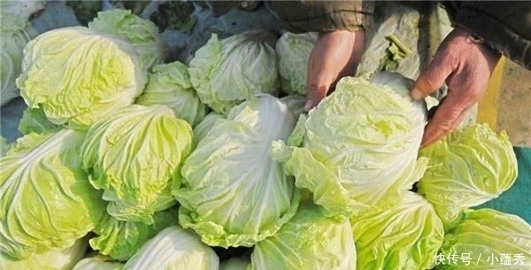 白菜|它当了2000年的“百菜之王”,却被白菜取代,为啥没人吃了