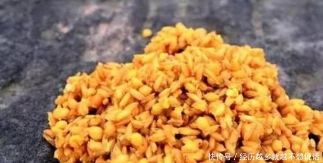 一提大草鱼就来劲,学会这套特色钓法,二十年老钓手都心服口服