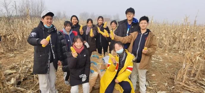  青岛|青春礼贤丨田间第四日——青岛九中高二同学学农日记