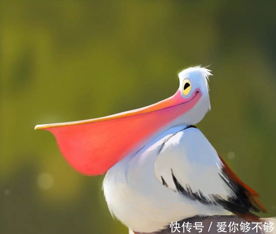 插画|三组各具特色的动物插画,看完很治愈~