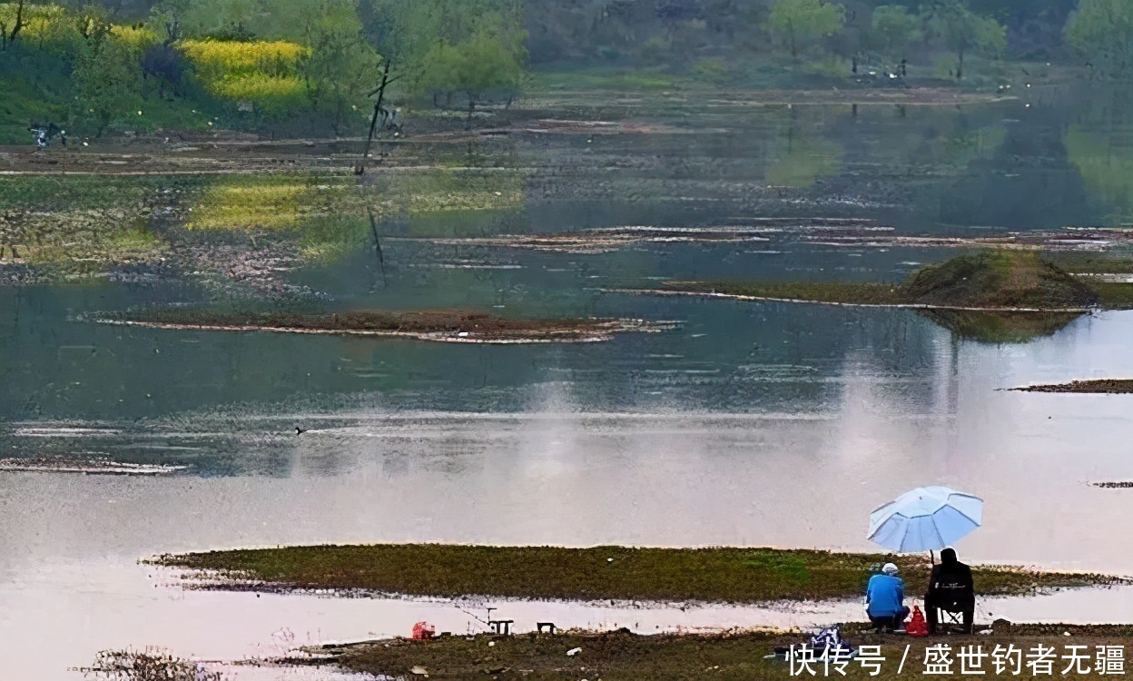 老钓鱼人的春钓秘诀,一试就灵,不想连竿都不行——盛世三渔