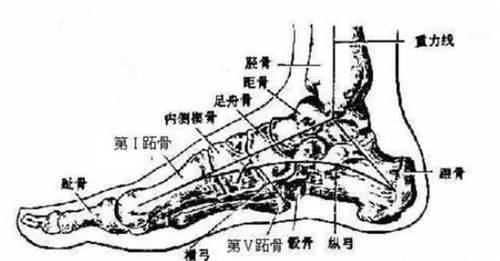 跑步|抻一抻“懒筋”不仅可以减压、放松精神，还对身体大有好处