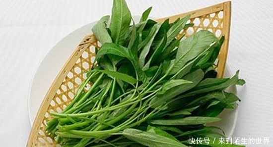 營養|城里吃不到的5種野菜，個個營養秒殺保健品，最后一種沒幾個人懂