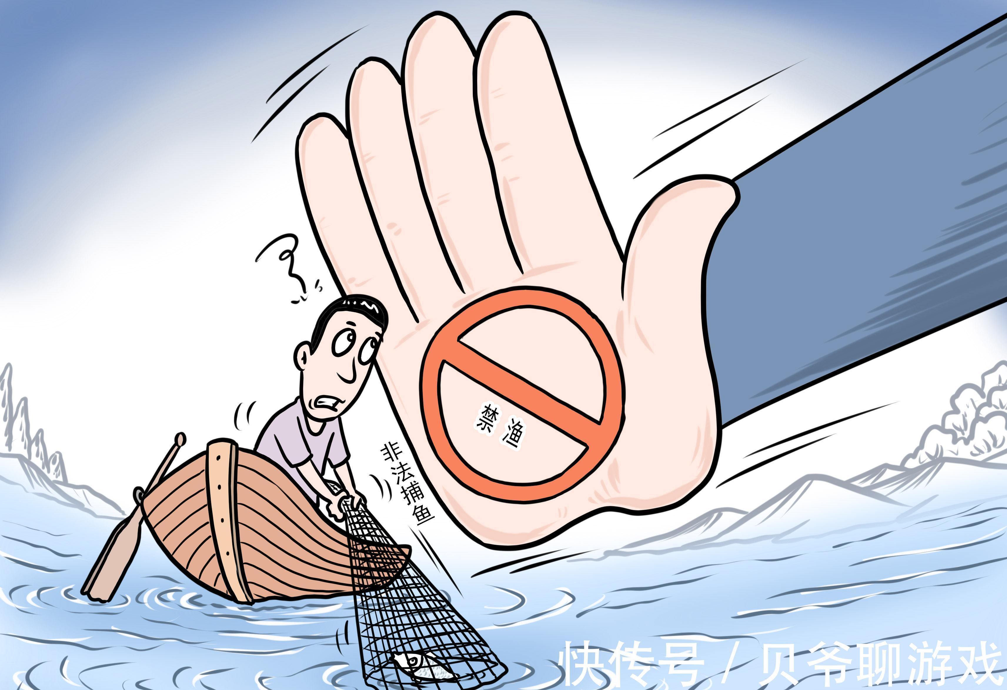 鲫鱼小于10厘米,渔获超过10条就必须放流,野钓应该怎么办