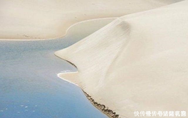 中年|全球最神奇的沙漠：一到雨季遍地是湖泊，生机十足美得醉人！