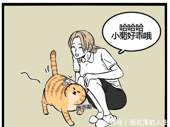 不好|搞笑漫画：原来这个世上真的有遭猫嫌体质，萌猫的心不好懂啊！