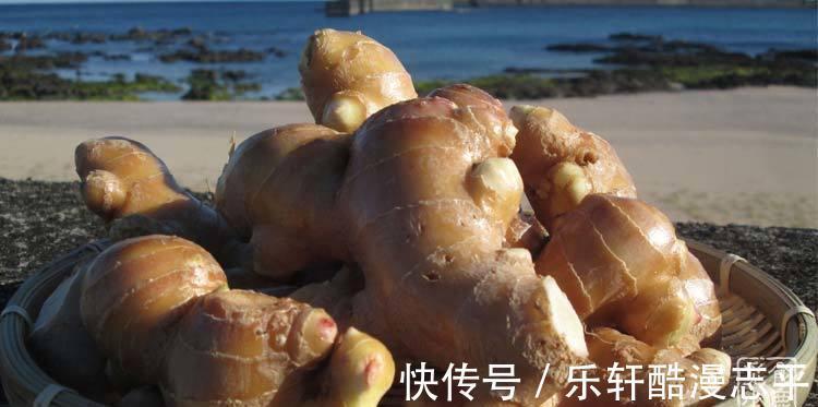 生姜片|三伏天前后,多吃它,祛湿排毒,每天吃两片,完美过酷暑天
