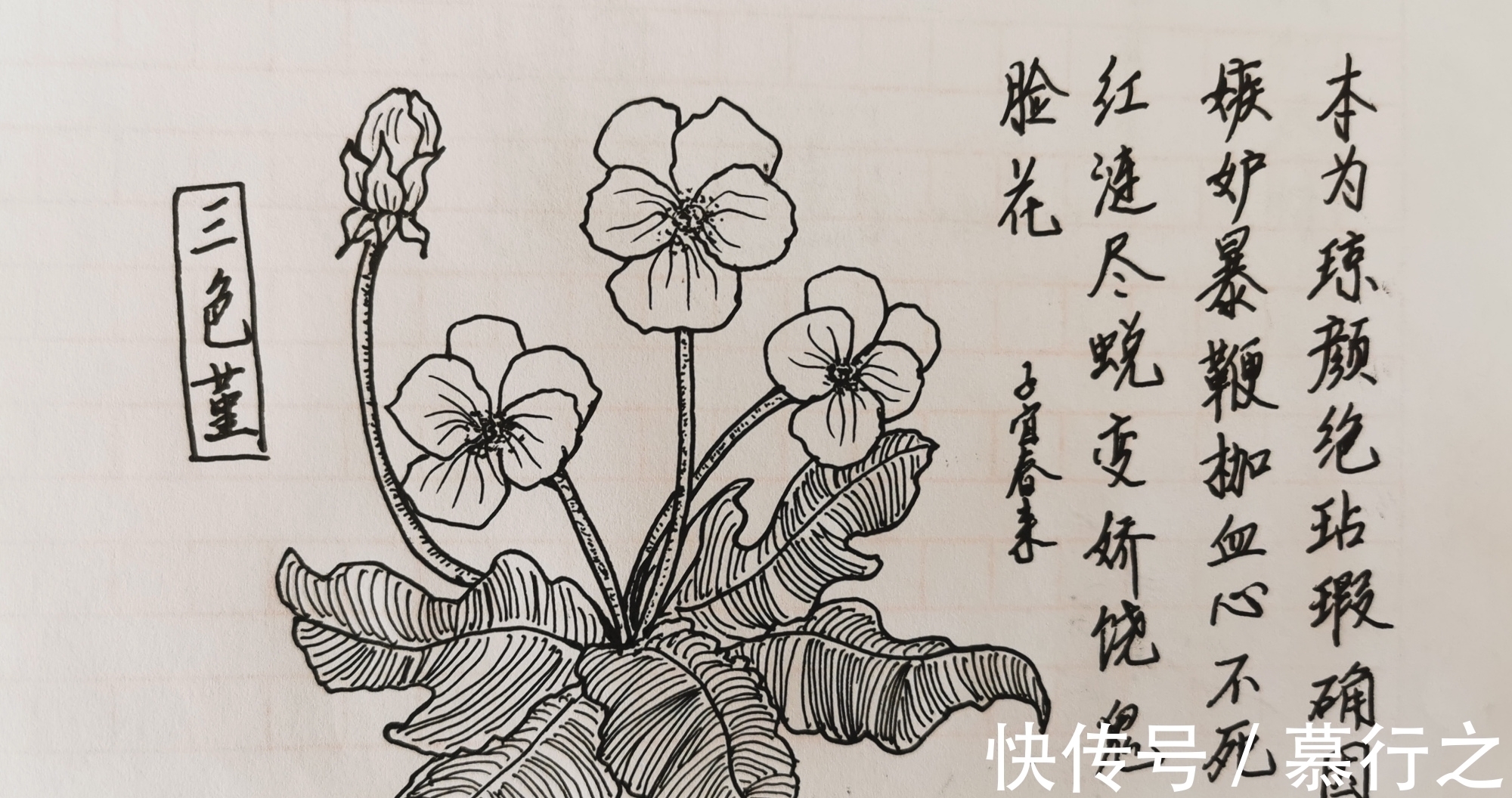 妻子&有一句诗,比苏轼的“十年生死两茫茫”,还让人伤感