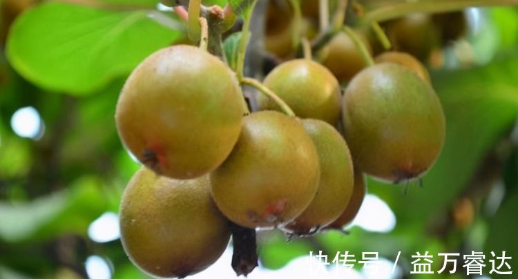 排毒养颜|每天晚上多吃3种食物，营养丰富、延缓衰老，早吃早受益！