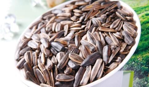 不饱和脂肪酸|吃瓜子等于“喝油”？营养师：真正不能吃的，或许是这2种瓜子