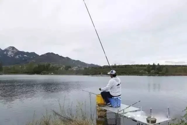 要想野钓渔获好,手勤腿勤屁股懒,一句话道尽野钓的精髓