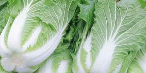 维生素c|炒白菜不能放此种东西,吃了就是自己找罪受,现在明白还不晚